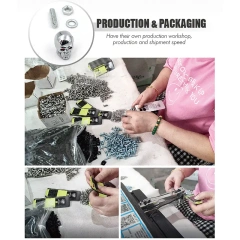 Set of 2 Pack Chrome Die Cast Skull Head License Plate Fasteners Screws