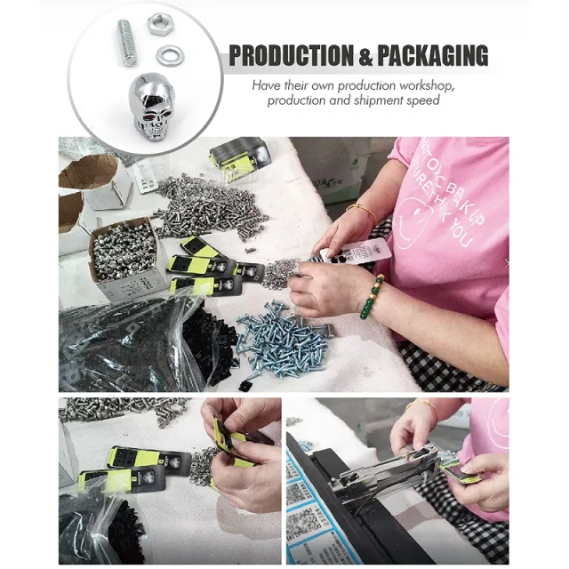 Set of 2 Pack Chrome Die Cast Skull Head License Plate Fasteners Screws