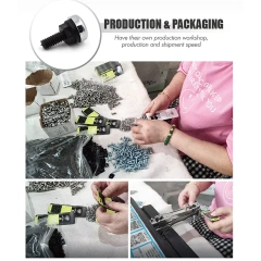 Set of 4 Pack Nylon Car License Plate Fasteners Screws Chrome ABS Caps Cover