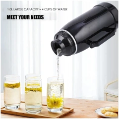 12v 24v Car electric water kettle