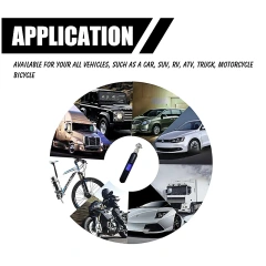 Tire pressure gauge Heavy duty tyre gauge 3-100psi