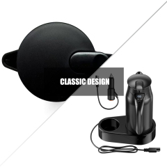 12v/24v Portable 0.8L Car Electric Boiling Hot Water Heater Kettle Boiler for Car