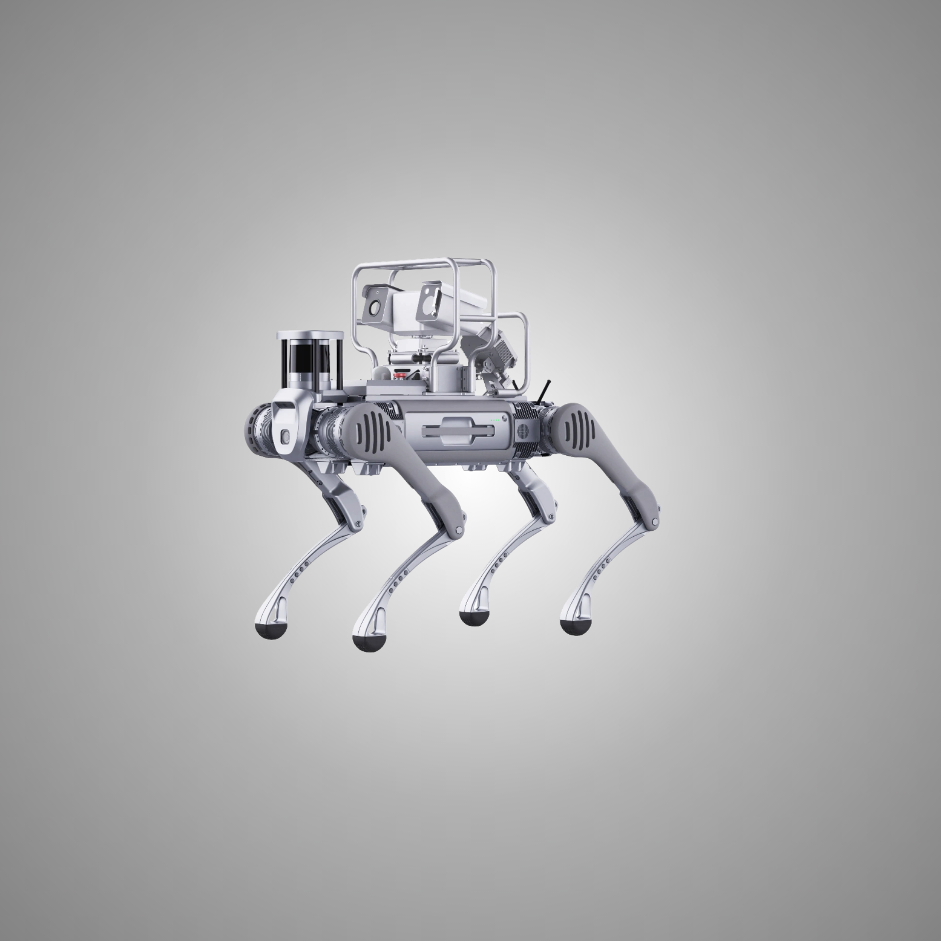 Robotic Acoustic Camera