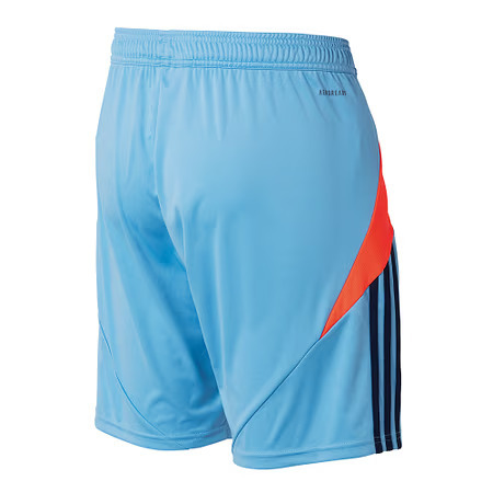 Women's Hamburger SV 2024/25 Special Shorts