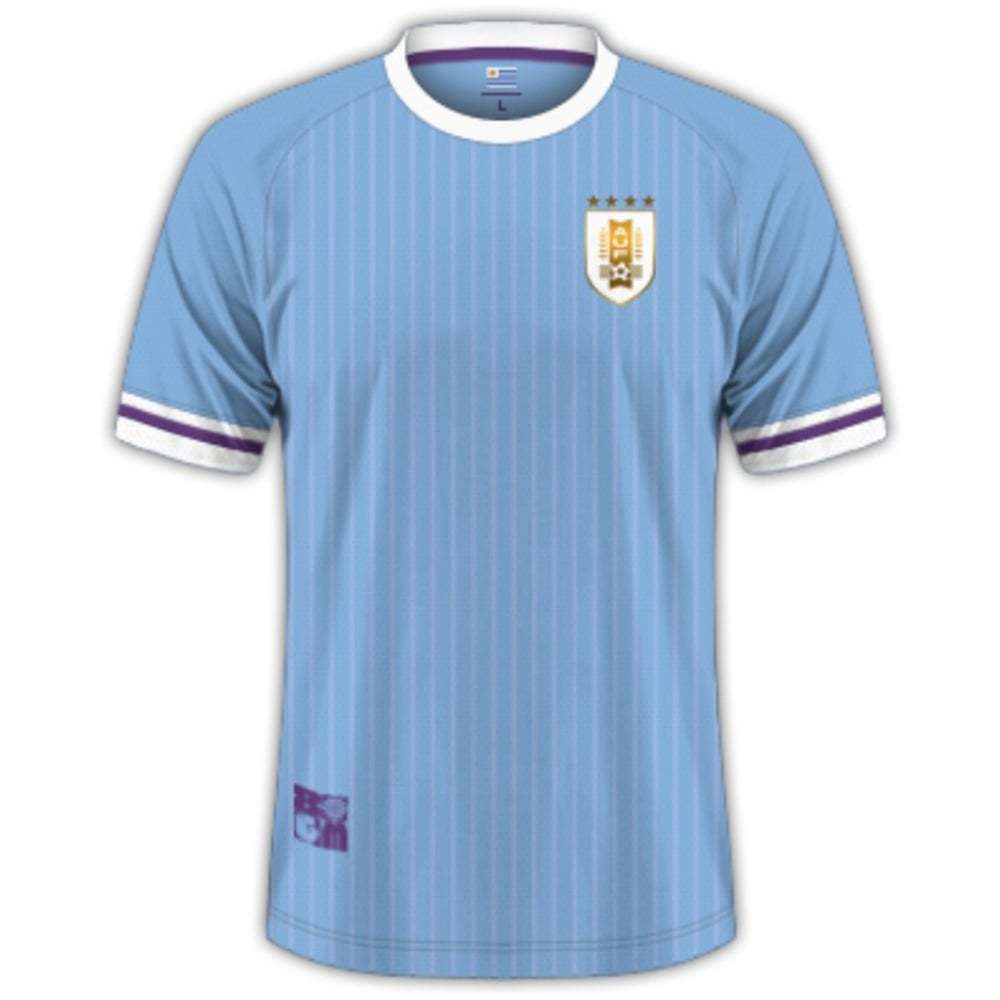 Uruguay Player Version Home Jersey Copa America 2024