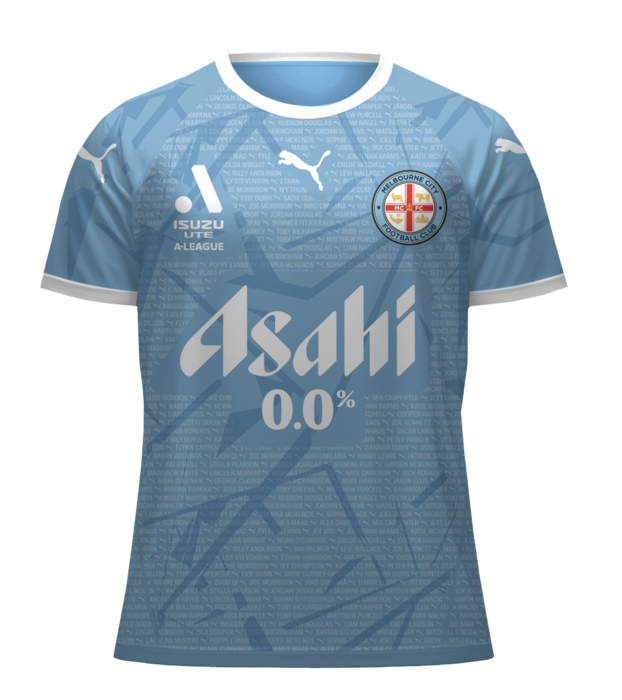 Men's Melbourne City 2024/25 Third Warm Up Shirt