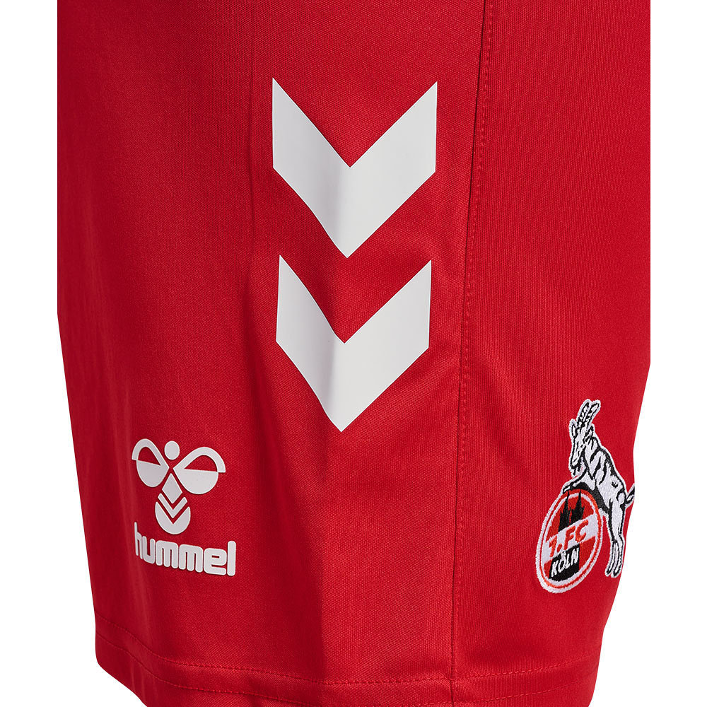 Men's 1. FC Köln 2024/25 Away Shorts