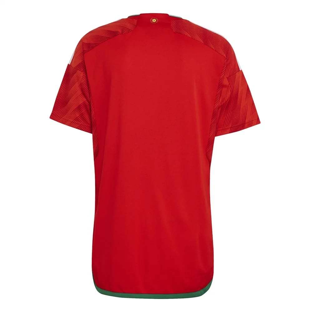 Wales Home Jersey World Cup 2022