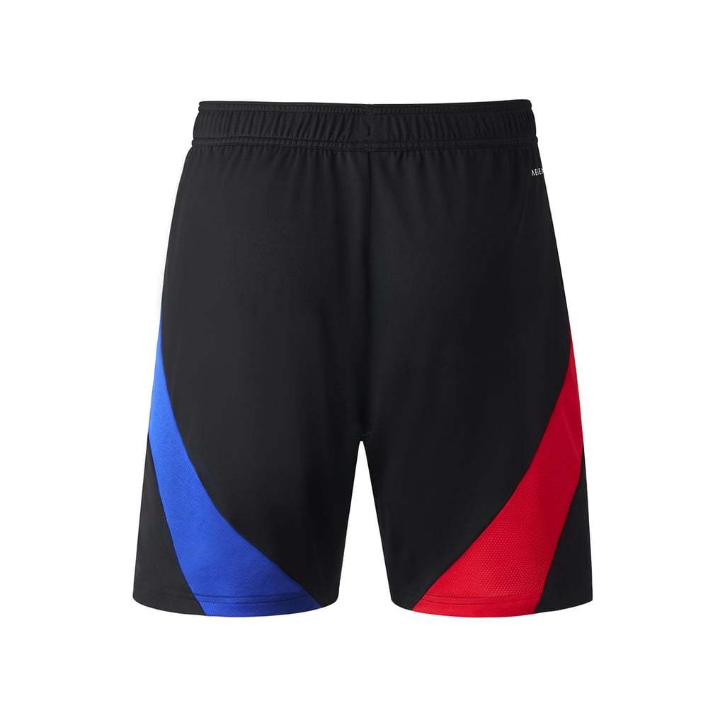 Men's OL 2024/25 Away Shorts