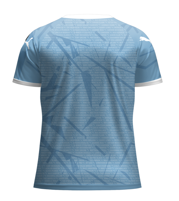 Women's Melbourne City 2024/25 Third Warm Up Shirt