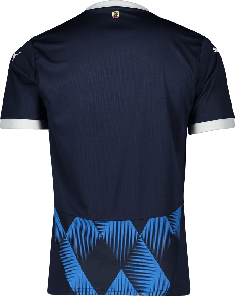 Men's 1. FC Heidenheim 1846 2024/25 Away Shirt