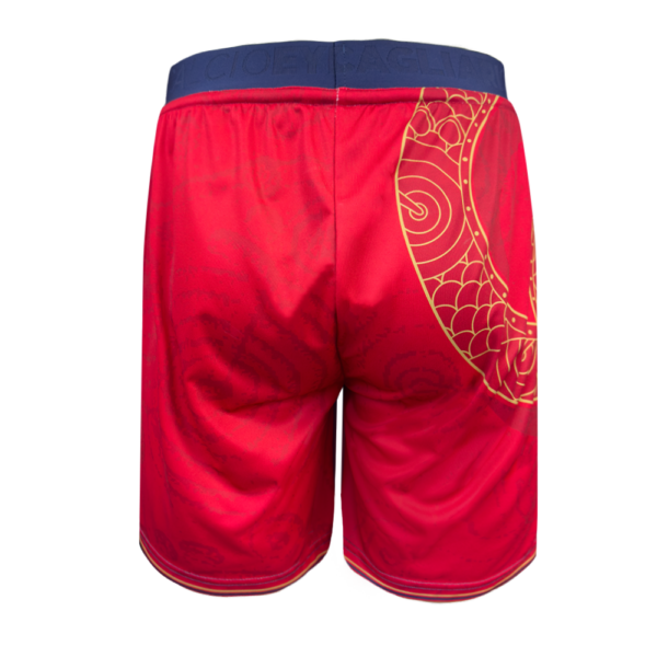 Kid's Cagliari Calcio 2024/25 Special Shorts
