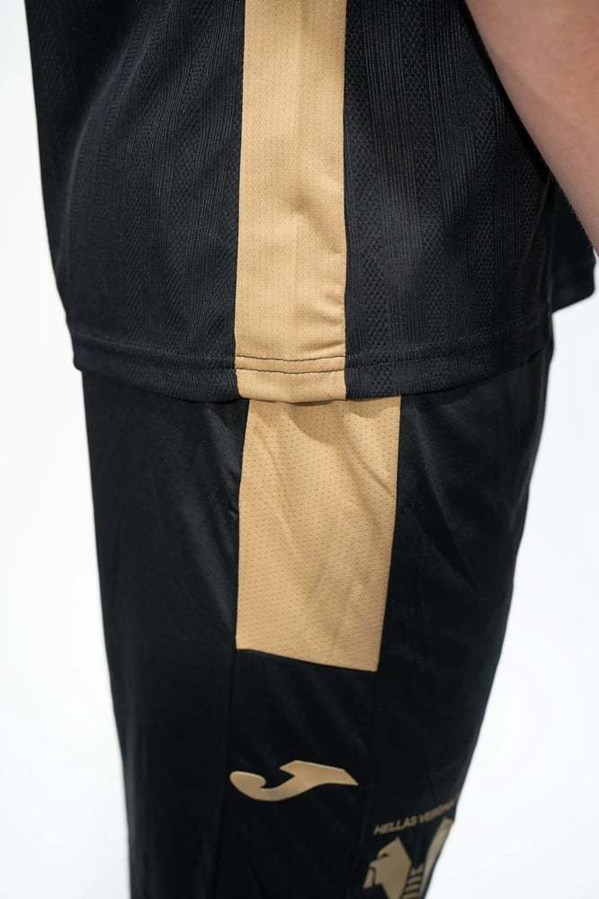 Kid's Hellas Verona 2024/25 Third Shorts