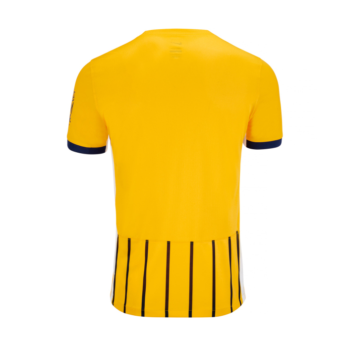 Men's Brighton &amp; Hove Albion 2024/25 Away Shirt
