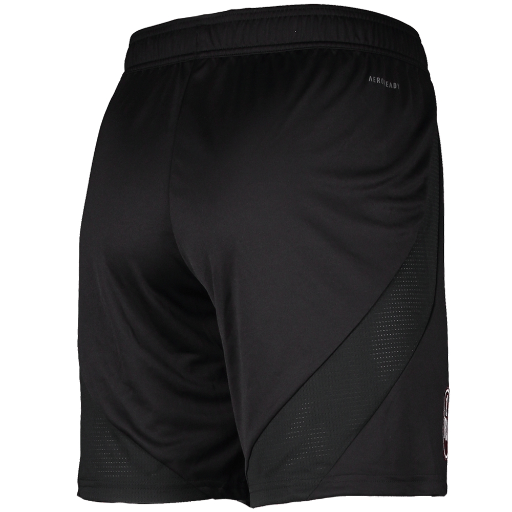 Men's 1. FC Nürnberg 2024/25 Third Shorts