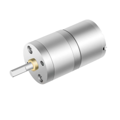 ZP25A-310 Gear Motor