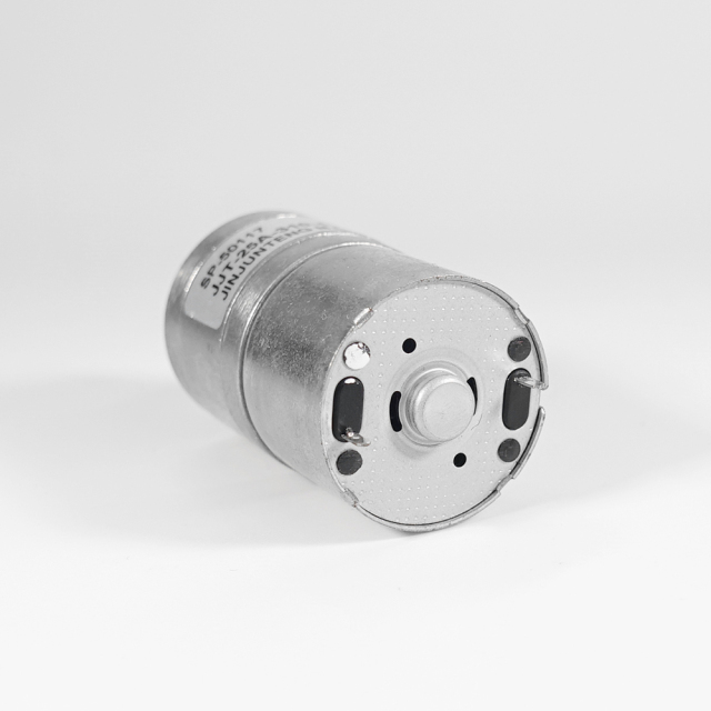 ZP25A-310 Gear Motor