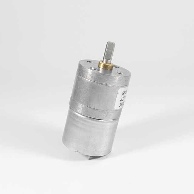 ZP25A-310 Gear Motor