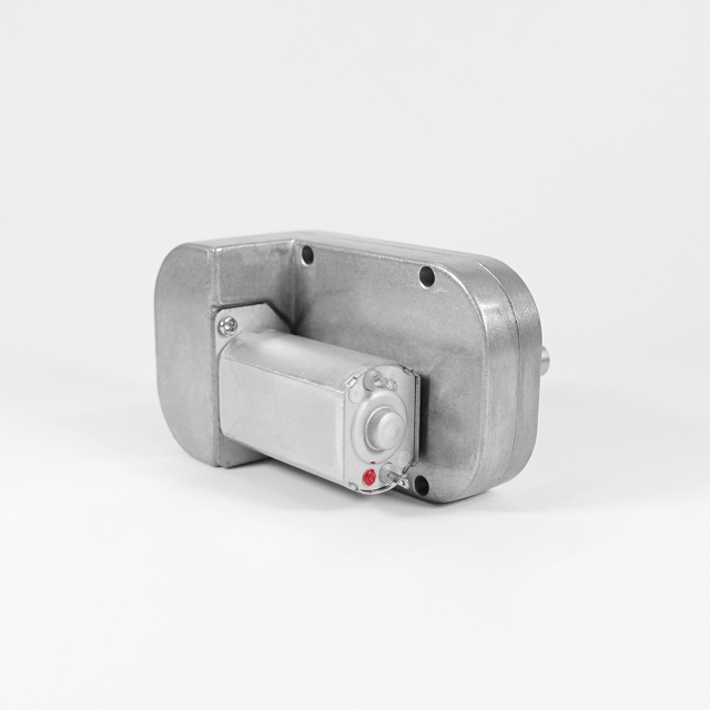 ZP38L-180 Worm Gear Reduction Motor