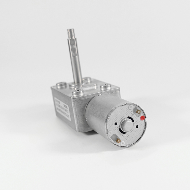 ZP3246F-370 Worm Gear Reduction Motor