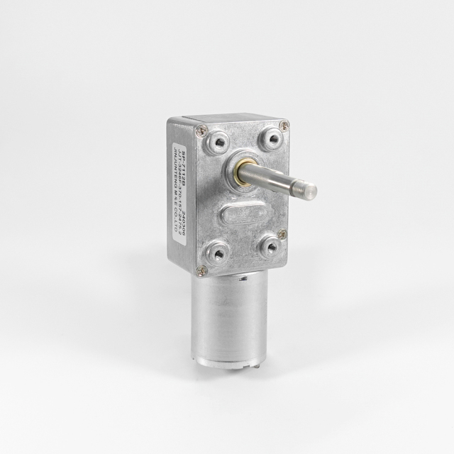 ZP3246F-370 Worm Gear Reduction Motor