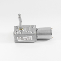 ZP3246F-370 Worm Gear Reduction Motor