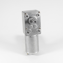 ZP4058F-545 Schneckengetriebemotor