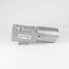 ZP4058F-545 Schneckengetriebemotor