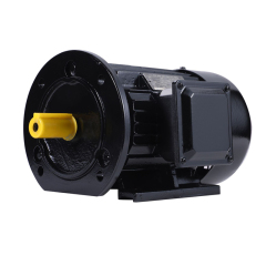 YE5 Premium Efficiency Three-Phase Asynchronous Motor