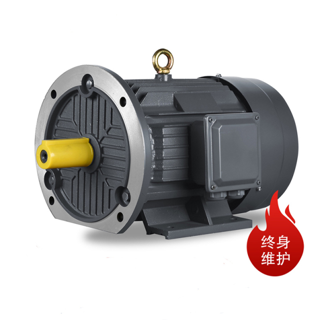 YE4 Premium-Hochleistungs-Drehstrom-Asynchronmotor