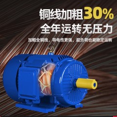 YEJ/YDEJ Electromagnetic Brake Three-Phase Asynchronous Motor