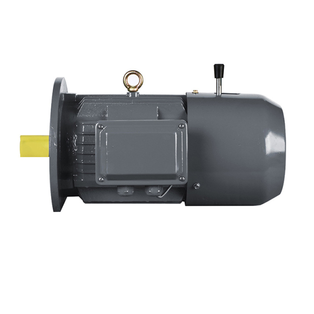YEJ/YDEJ Electromagnetic Brake Three-Phase Asynchronous Motor