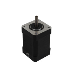 42BLF40 24V BLDC 모터