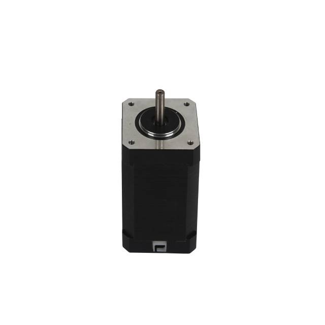 42BLF60 60V BLDC Motor