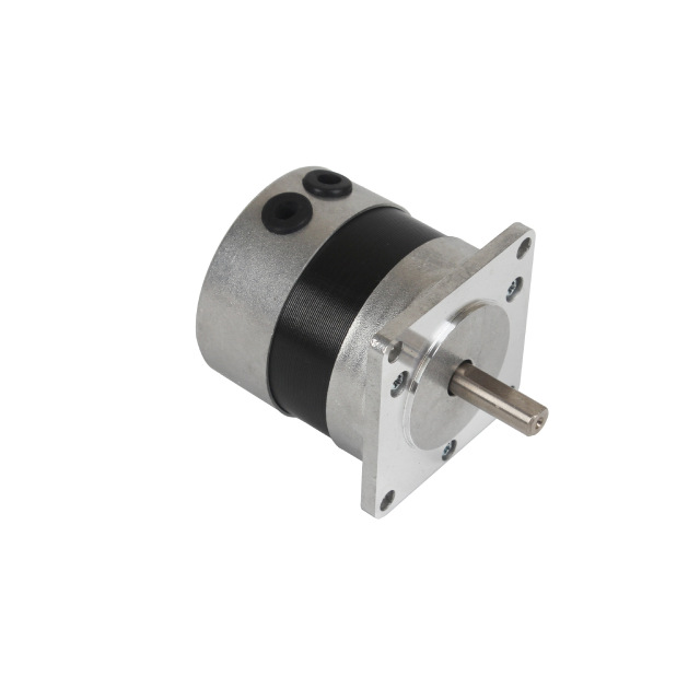 57BLF20 BLDC Motor