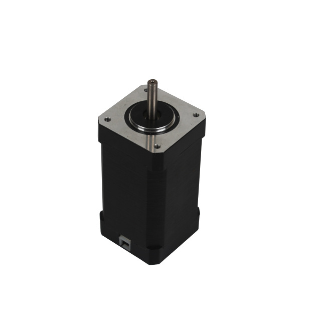 42BLF60 60V BLDC Motor