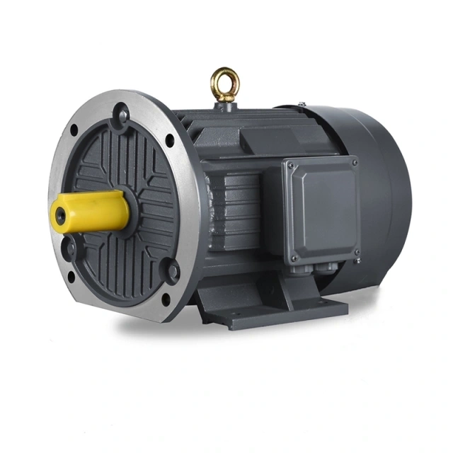 YE5 Premium Efficiency Three-Phase Asynchronous Motor