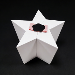 Coffret de parfum haut de gamme en édition spéciale, au design pentagonal,Emballage pentagonal pour parfum haut de gamme en édition spéciale, personnalisable chez KA MEI