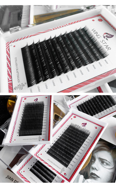 Eyelash Extension Black Introduction