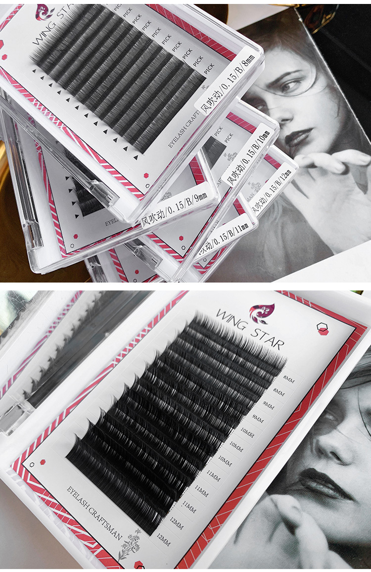 Eyelash Extension Black Introduction
