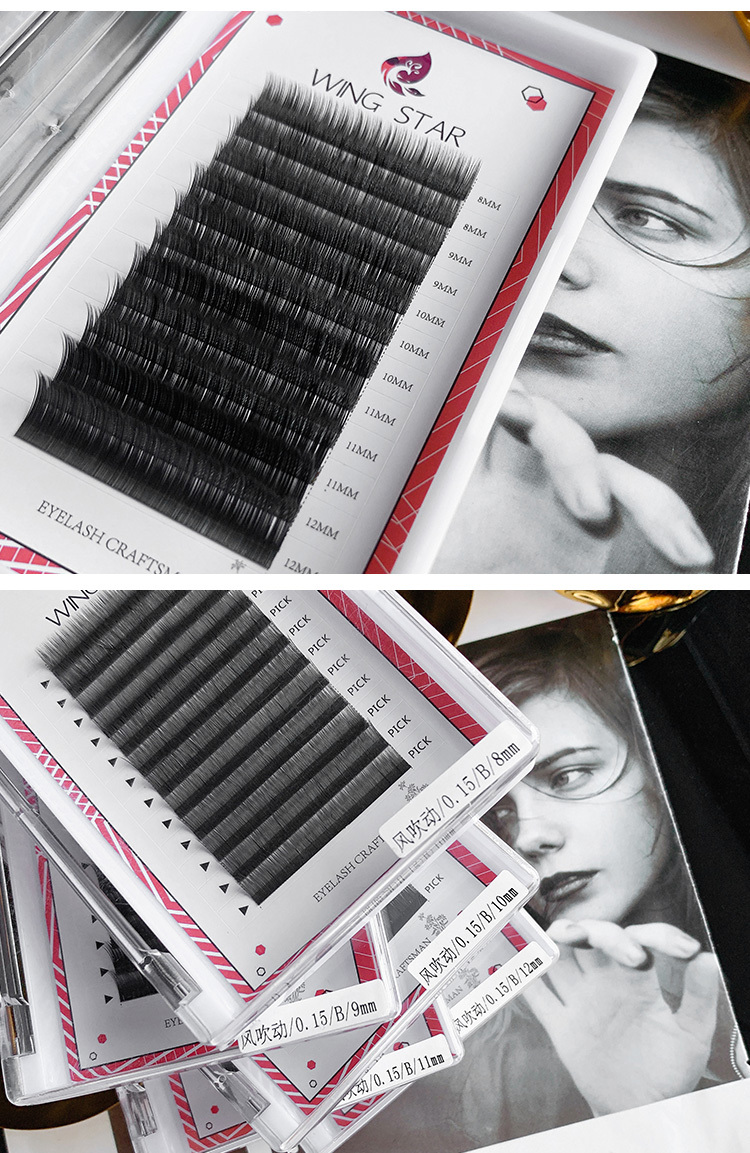 Eyelash Extension Black Introduction