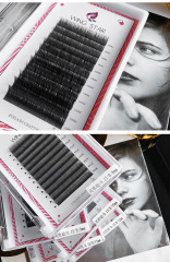Eyelash Extension Black Introduction