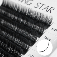Eyelash Extension Black Introduction