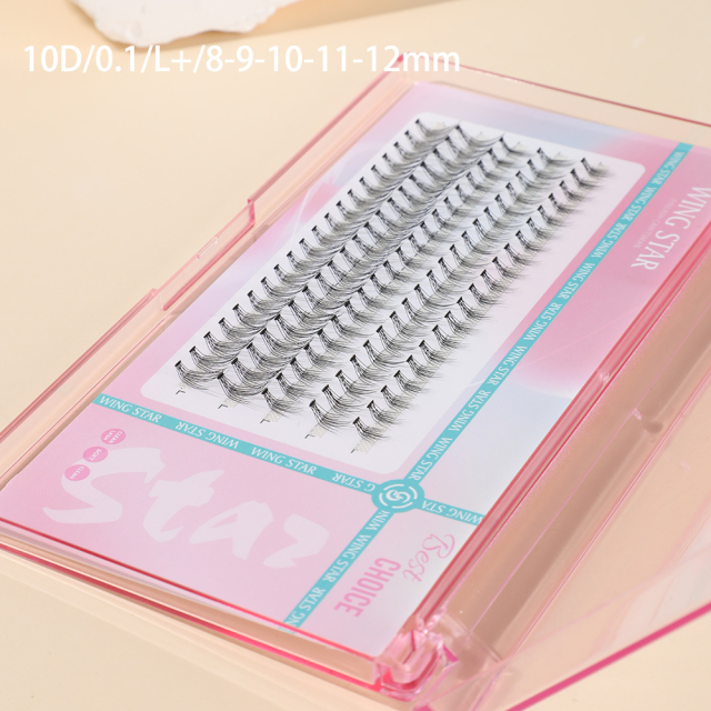 10D 5 rows cluster eyelashes