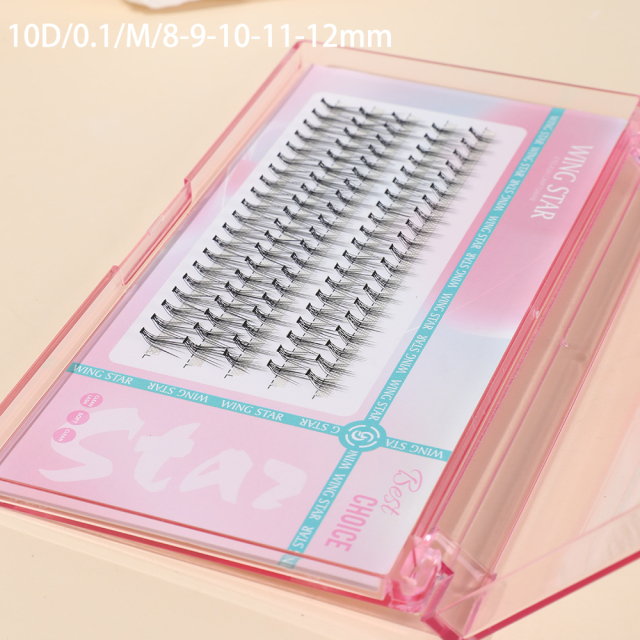 10D 5 rows cluster eyelashes