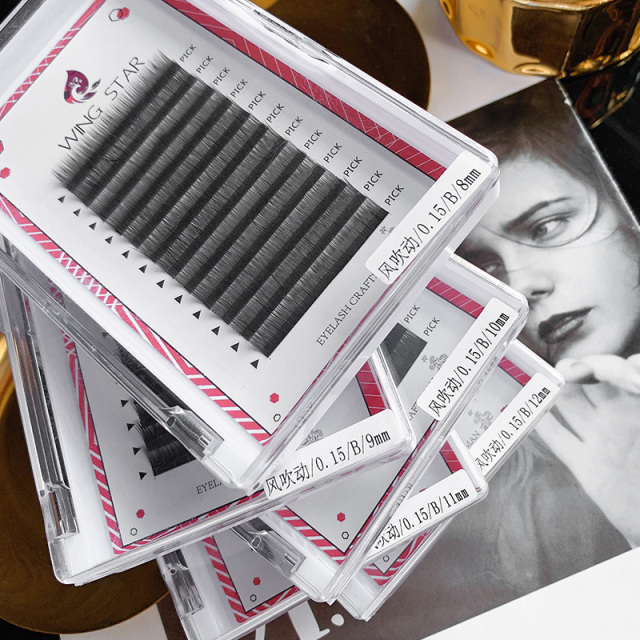 Eyelash Extension Black Introduction