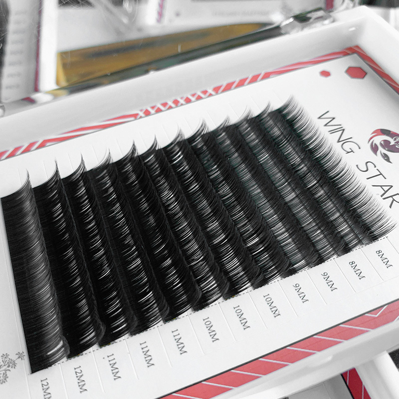 Eyelash Extension Black Introduction