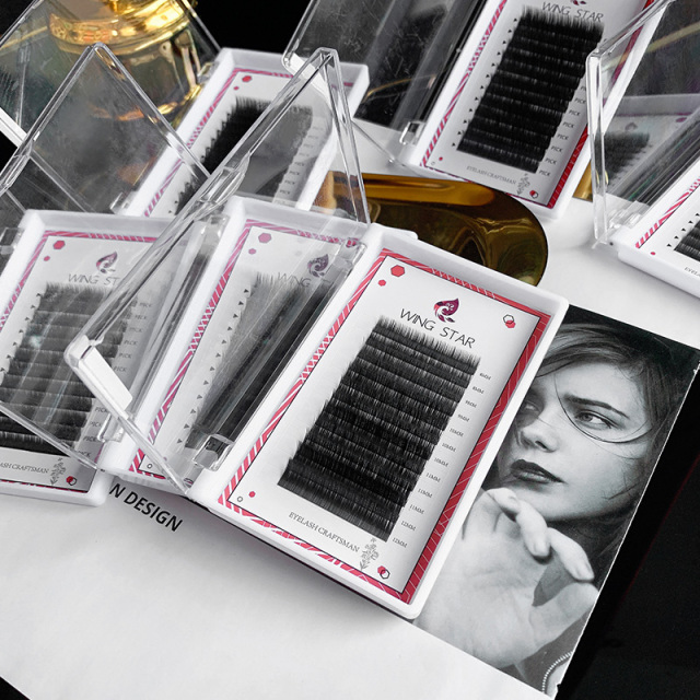 Eyelash Extension Black Introduction
