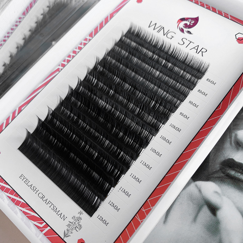 Eyelash Extension Black Introduction