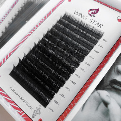 Eyelash Extension Black Introduction